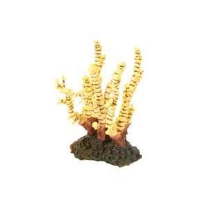 Design Elements Gorgonian Coral Aq. Ornament Large 8.3in. x 4.9 in. x 