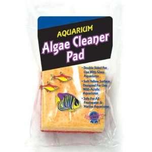  (Price/3)Algae Cleaner Pad