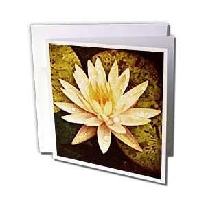  Boehm Digital Paint Flower   Yellow Pond Lily   Greeting 