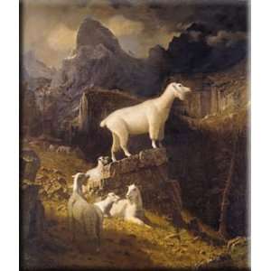 Rocky Mountain Goats 14x16 Streched Canvas Art by Bierstadt, Albert