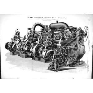 1889 Engineering Triple Expansion Engines Ship H.M.S. Australia Napier