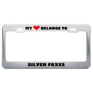 My Heart Belongs To Silver Foxes Animals Metal License Plate Frame 