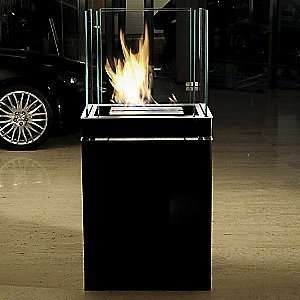  Semi Flame Fireplace by Radius