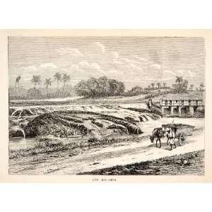  1871 Wood Engraving Los Molinos Matanzas Cuba Road Horse 