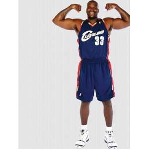  Wallpaper Fathead Fathead NBA Players & Logos Shaquille O 