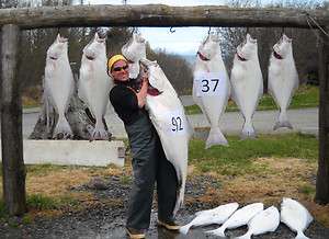 Ninilchik, Alaska Fishing and Lodging Package for 2012 Season  