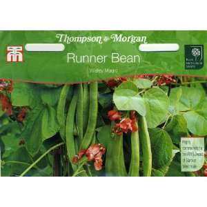   Bean Runner Bean Wisley Magic Double Seed Packet Patio, Lawn & Garden