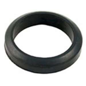  Laars 2 Flange Gasket Automotive