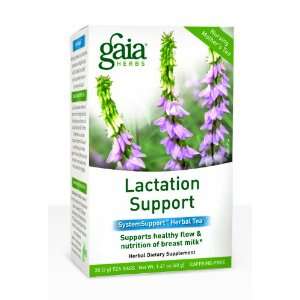  Gaia Herbs Lactation Support Herbal Tea, 1.41 Ounce 