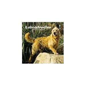  Labradoodles 2010 Wall Calendar