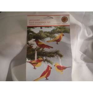  Martha Stewart Glittered Bird Ornament Kit Everything 