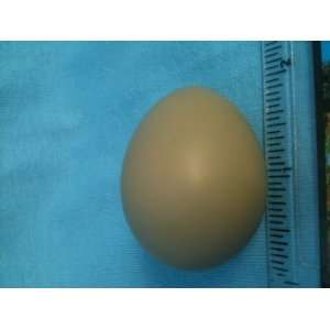  6 Blown Pheasant Egg Shells Arts, Crafts & Sewing