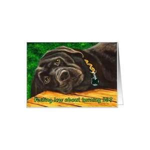  Funny Birthday ~ 38 Years Old ~ Labrador Dog Card Toys 