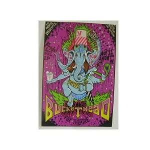 Buckethead Poster Handbill Boulder Elephant 