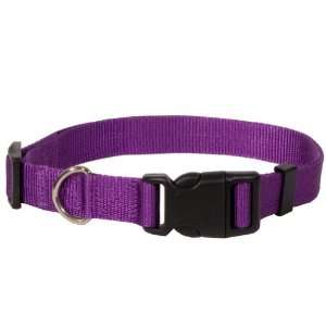  Nylon Collar Lavender LG