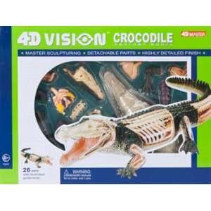  4D Vision   Crocodile Anatomy Kit (Science) Toys & Games