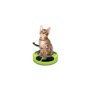   Feline Frenzy Kitty Mouse Toy & Cat Scratch Pad Scratche
