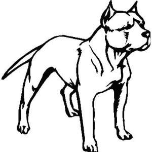   Pitbull Decal With or Without Cropped Ears   Choose 
