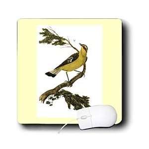   Victorian Images   Yellow Bird On Branch   Mouse Pads Electronics