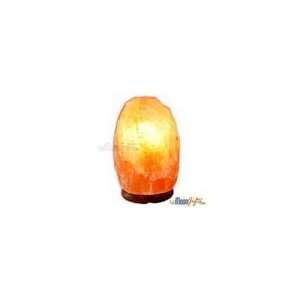   Salt Lamps Therapeutic Special Quality ~ Tiny