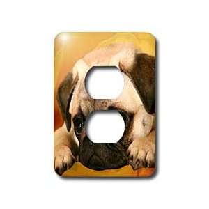  Dogs Pug   Pug   Light Switch Covers   2 plug outlet cover 