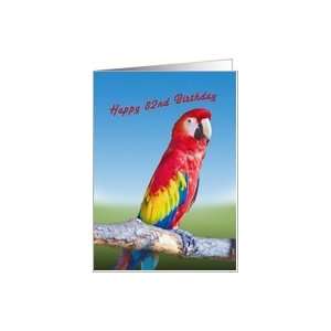  Birthday, 82nd, Macaw Parrot Card Toys & Games
