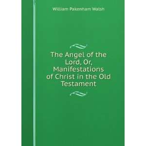  The Angel of the Lord, Or, Manifestations of Christ in the 