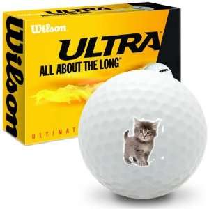  Kittens Gray Tabby   Wilson Ultra Ultimate Distance Golf 