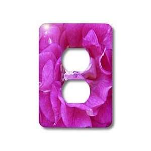 Florene Flower   Hot Pink Rose Petals   Light Switch Covers   2 plug 