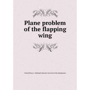  Plane problem of the flapping wing United States 