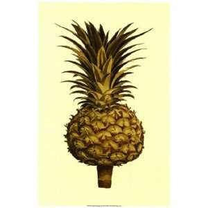  Sepia Pineapple (H) II by Vision studio 9x16 Kitchen 