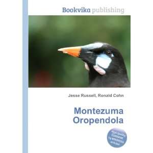  Montezuma Oropendola Ronald Cohn Jesse Russell Books