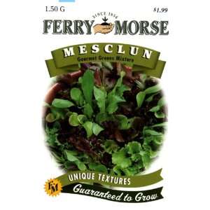  Ferry Morse 1821 Mesclun Seeds, Gourmet Greens Mix (1.5 