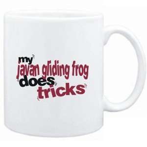 Mug White  My Javan Gliding Frog does tricks  Animals  