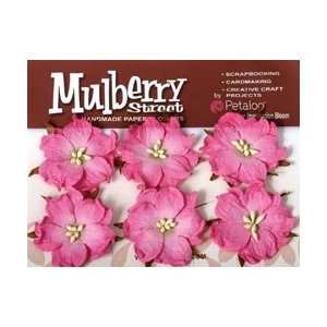  Petaloo Flowers Mulberry Street Wild Roses 6/Pkg Pink 