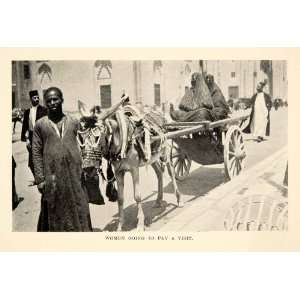  Women Visit Cairo Egypt Horse Cart Transportation Man Guide Religion 