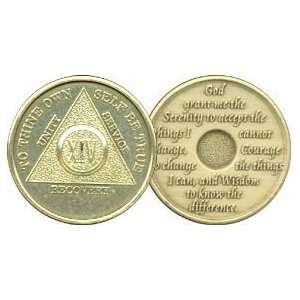 14 Year Bronze AA Birthday   Anniversary Recovery Medallion / Coin