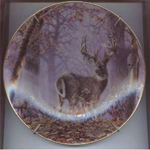   From the Collection Entitled Whitetail Splendor 