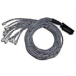  Cables to Go 14993 Cat5 25 pair Telco Breakout Cable (10 