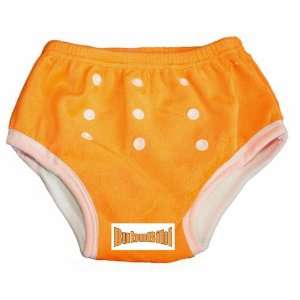  Potty Training Pants/ Trainers/ Resuable & Washable Bamboo 