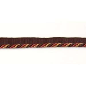  Multi Colored Twisted Cord Trim with Lip *On Sale* You 