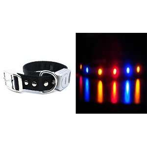 Hows Your Dog LED Flashing Nighttime Safety Dog Collar   Midnight 