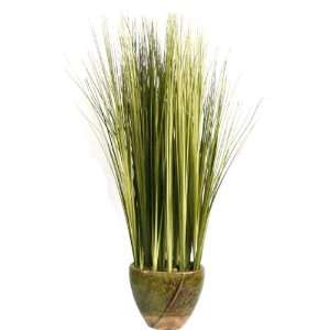  Onion Grass in Ceramic Container