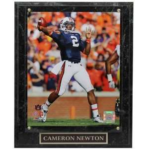  Auburn Tigers #2 Cameron Newton 10.5 x 13 Player 
