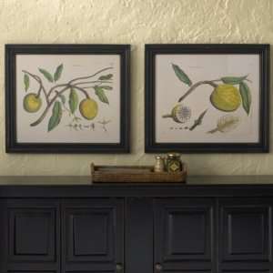    Set of Two Exotic Fruit Prints  Ballard Designs