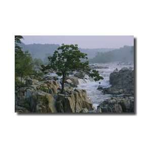  View Of Waterfalls Great Falls State Park Virginia Giclee 