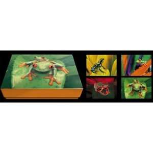   Planet Zoo   Boxed Notes   Frogs, Frogs, Frogs Toys & Games