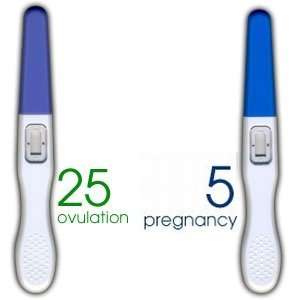 25 Ovulation Midstream Tests and 5 Pregnancy Midstream Tests (30 Total 