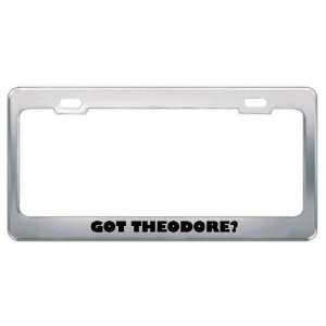  Got Theodore? Boy Name Metal License Plate Frame Holder 