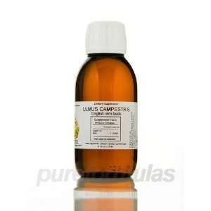  Seroyal Ulmus campestris 125ml